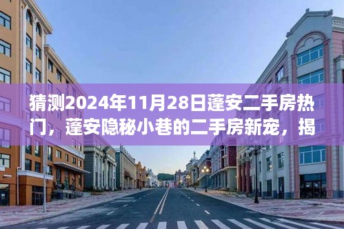 揭秘蓬安隐秘小巷的二手房新宠，预测2024年11月28日热门房源与特色小店魅力探秘