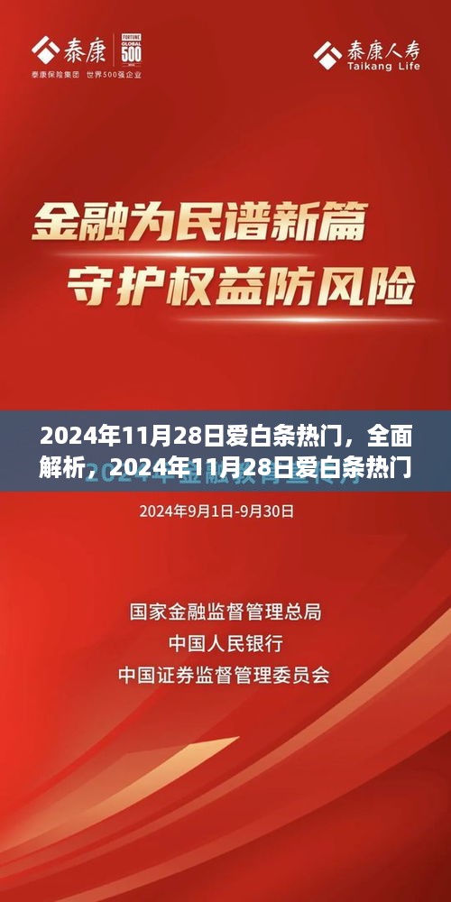 2024年11月28日爱白条热门产品深度解析，特性、体验与目标用户群体分析