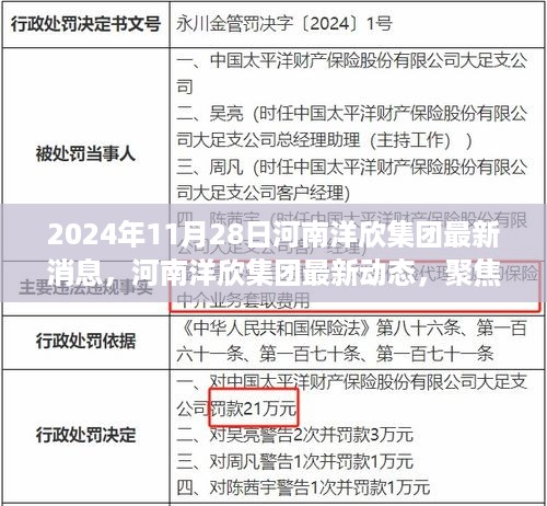 河南洋欣集团最新动态，聚焦未来，共筑辉煌之路（2024年11月28日）