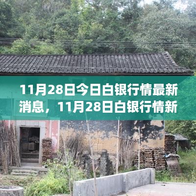 11月28日白银市场最新动态与心灵宁静的自然美景之旅