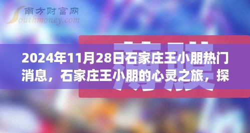 石家庄王小朋的心灵探寻之旅，自然美景与内心平静的追寻之路（2024年11月28日）