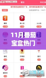 11月番茄宝盒热门破解版，法律风险与合规使用的探讨