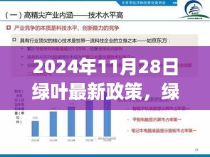 聚焦未来绿叶政策，解读最新动态，共筑绿色梦想（2024年11月版）