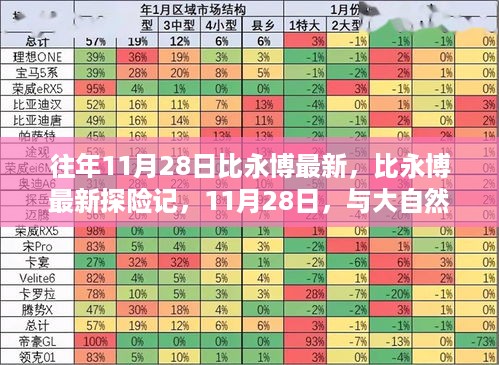 比永博最新探险记，11月28日与大自然的共舞日