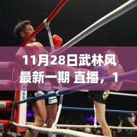 11月28日武林风最新一期直播，热血格斗盛宴，武林盛事不容错过