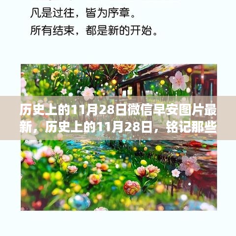 历史上的11月28日温暖人心的早安瞬间与微信早安图片回顾