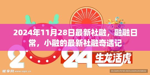 小融的2024年最新社融奇遇记，日常融融的新冒险