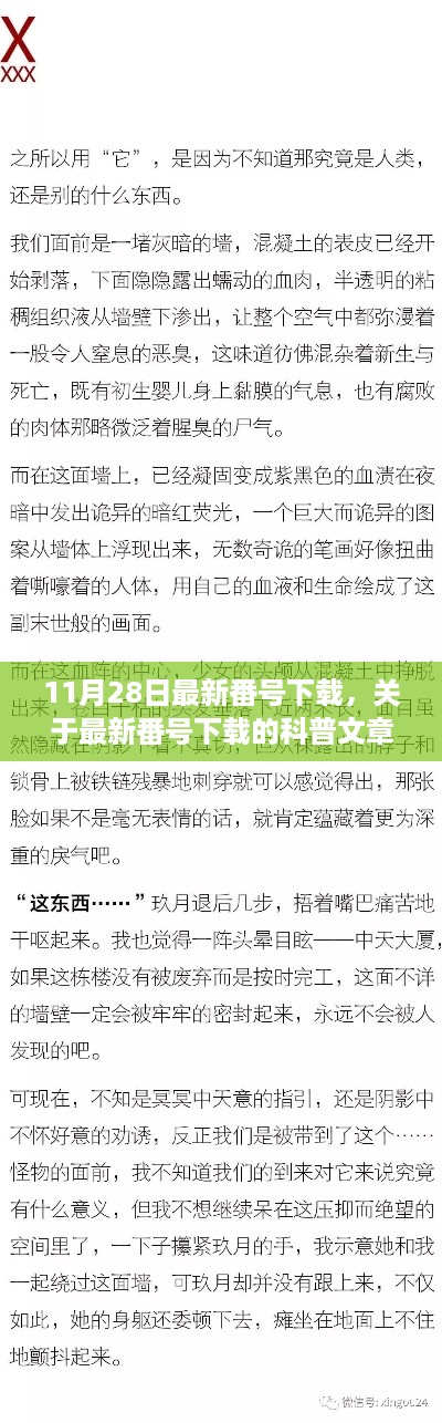 涉黄问题的风险警示，最新番号下载科普与警示（11月28日更新）