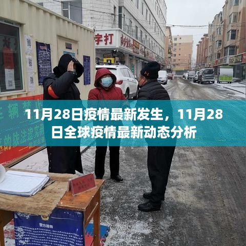 全球疫情最新动态分析，11月28日疫情最新发生与动态报告