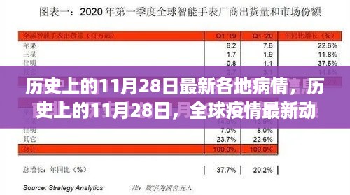 历史上的11月28日全球疫情最新动态回顾与各地疫情状况