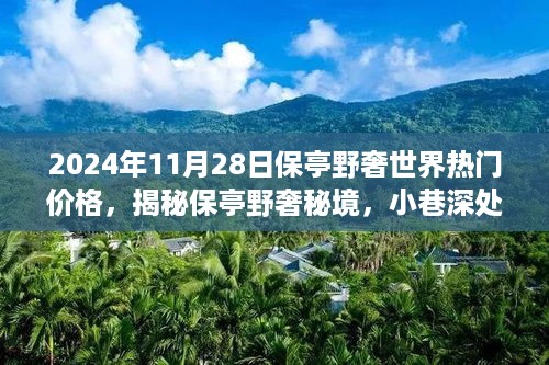 揭秘保亭野奢秘境，热门价格与小巷深处的独特风情探秘（2024年11月28日）