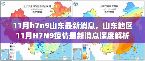 山东地区H7N9疫情最新动态解析，深度了解山东地区11月H7N9疫情最新消息