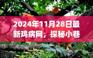 探秘小巷深处的鸡病网，一场特色美食之旅的独家揭秘（2024年11月28日最新资讯）