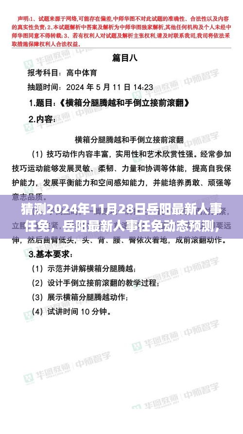 岳阳人事变动预测，最新任免动态深度解读与多维分析（2024年11月28日版）