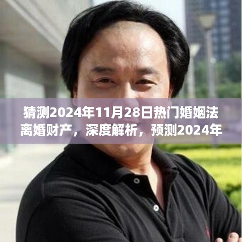 深度解析与预测，2024年热门婚姻法离婚财产特性、体验、竞品对比及用户群体探究