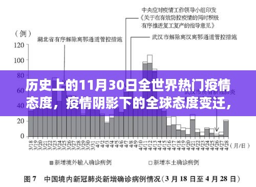 历史上的11月30日全球疫情态度变迁与全球态度回望