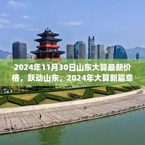 山东大算最新价格动态，跃动山东，自信闪耀学习变化之路（2024年）