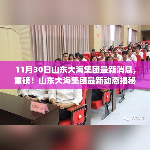 独家揭秘，山东大海集团最新动态与重磅消息（11月30日报道）