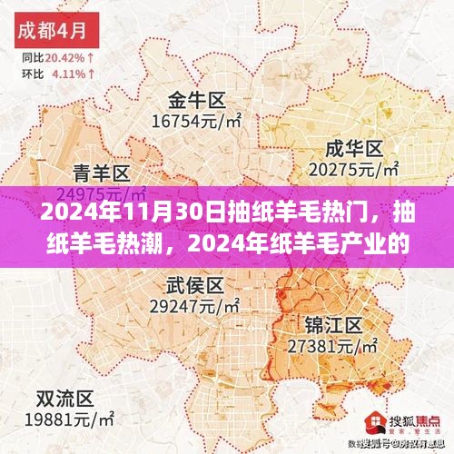 2024年纸羊毛产业的新纪元，抽纸羊毛热潮与热门趋势