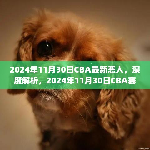 揭秘CBA赛场恶人，深度解析与全面评测