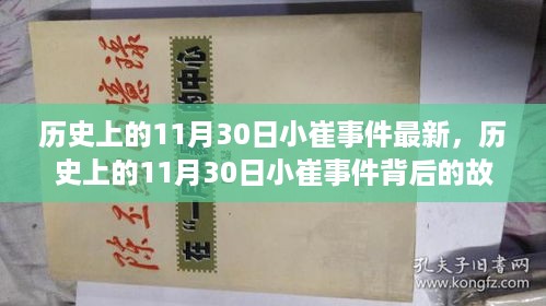 揭秘历史小崔事件背后的故事，自然美景的心灵之旅最新进展