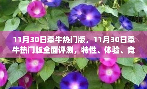 11月30日牵牛热门版全面评测，特性、体验、竞品对比与用户深度分析