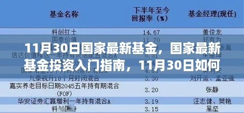 国家最新基金投资入门指南，11月30日基金操作策略与入门指引