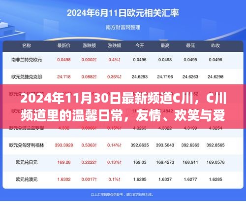 C川频道，温馨日常的友情、欢笑与爱的传递（2024年11月30日最新内容）