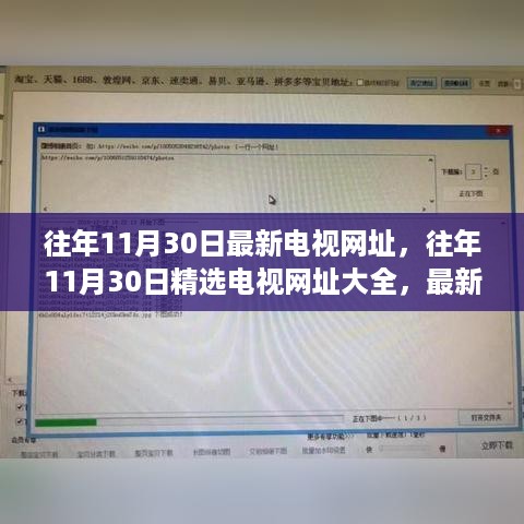 往年11月30日精选电视网址大全，最新资源一网打尽，不容错过！