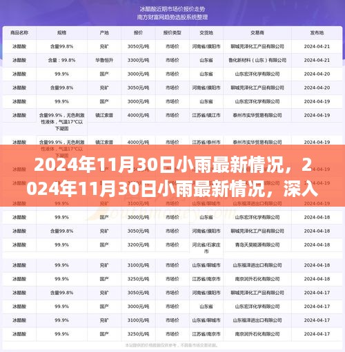 关于小雨的不同观点与个人立场深度解析，最新情况报告（2024年11月30日）