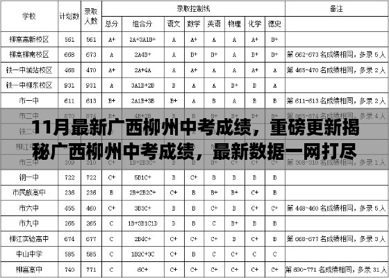 2024年12月 第334页