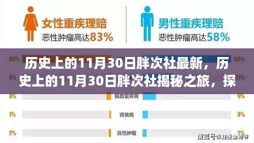 探寻历史上的11月30日，胖次社最新揭秘之旅