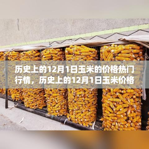 深度解析，历史上12月1日玉米价格走势与热门行情概览