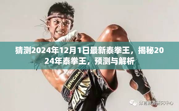 揭秘与预测，2024年泰拳王争霸之战解析与前瞻