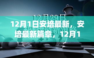 安培最新篇章回顾与影响，12月1日的视角