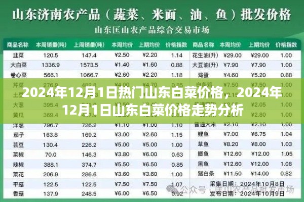 山东白菜最新价格走势分析，2024年12月1日的市场行情及趋势预测