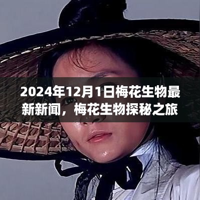 梅花生物探秘之旅，自然美景的心灵觉醒与轻松之旅（最新新闻更新）