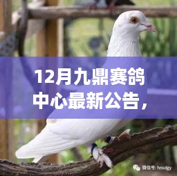 九鼎赛鸽中心最新公告发布，新篇章序幕正式拉开