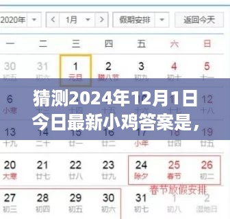 2024年12月1日小鸡答题答案猜测指南，初学者与进阶用户的实用指南