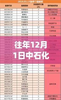 中石化领导热门排名背后的多维度考量与解析，历年12月1日观察报告