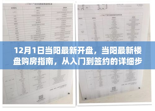 当阳最新楼盘购房指南，从入门到签约的详细步骤（12月1日最新更新）