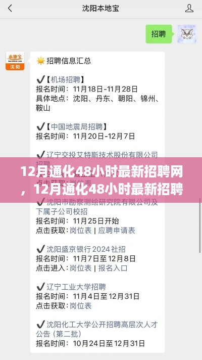 12月通化48小时最新招聘网，招聘模式的革新与挑战