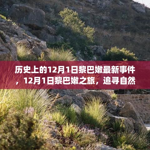 12月1日黎巴嫩事件回顾，追寻自然美景，探寻内心宁静之旅