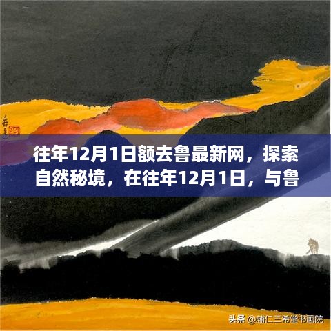 往年12月1日与鲁最新网共探自然秘境，心灵之旅启程