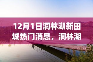 洞林湖新田城揭秘，十二月一日热门焦点事件揭秘