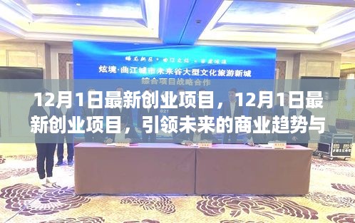 12月1日最新创业项目揭秘，未来商业趋势与成功案例解析