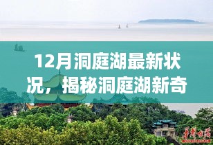 揭秘洞庭湖新奇迹，智能生态新纪元的科技引领生活新篇章（最新12月状况）