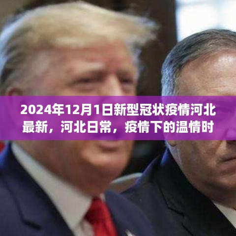 河北疫情最新动态，温情时光下的抗疫日常（2024年12月1日）