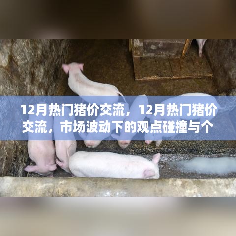 市场波动下的观点碰撞与个人立场，12月热门猪价交流热议