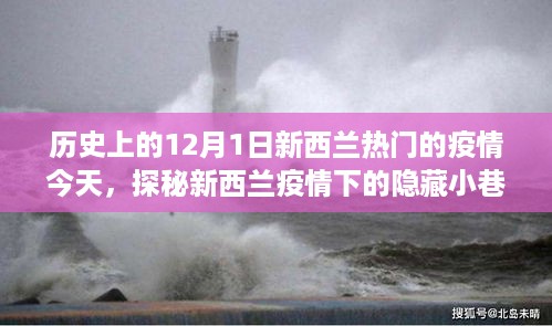 探秘新西兰疫情下隐藏小巷的特色小店故事，12月1日新西兰疫情回顾与启示